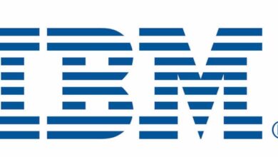 IBM İkiye Bölündü