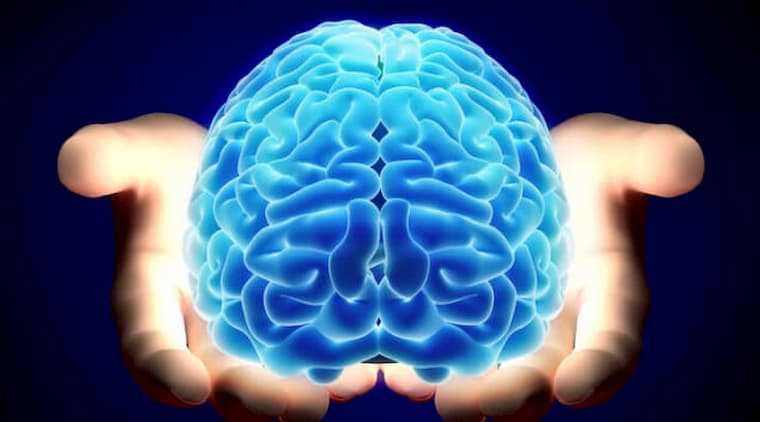 Human Brain Projesi