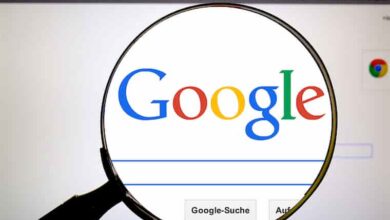 Google Çöktükten Sonra Neler Oldu?